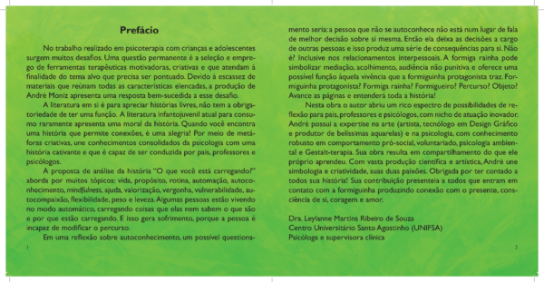 Livro - O que você está carregando? - Imagem 2