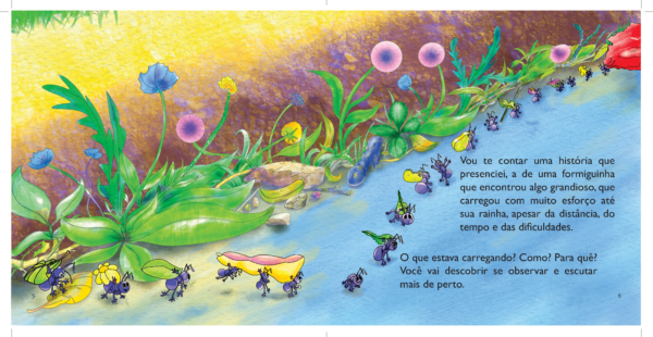 Livro - O que você está carregando? - Imagem 4